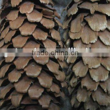 Christmas Tree Decoration Natural Pine cone