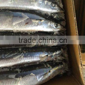 2015 Seafrozen Pacific Saury Whole Round 1#:120-140g/pc photo-3
