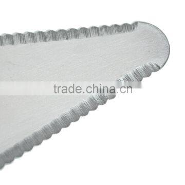 Plastic Handle Stainless Steel Cake Cutter for Home & Kitchen