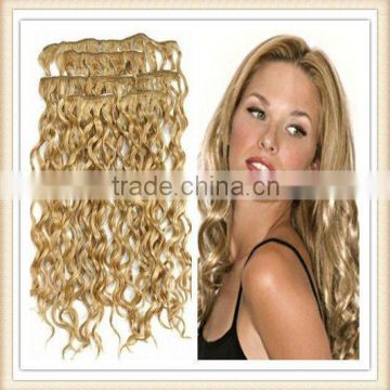 Top quality and cheap curly brazilian remy hair