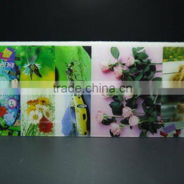 customized UV printing acrylic 3D picture display