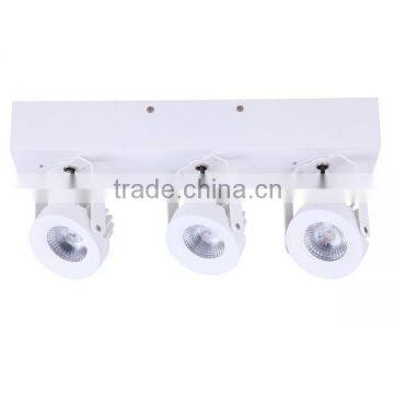 Hot New Products on China Market 3*10W Dimmable Led Surface Light Led Ceiling Light
