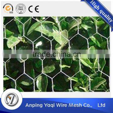 my test hexagonal wire mesh