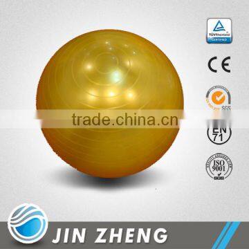 custom soft PVC eco-friendly ball exercise gym ball thick