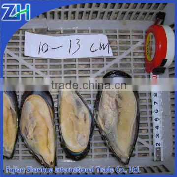 Frozen precooked blue mussel meat