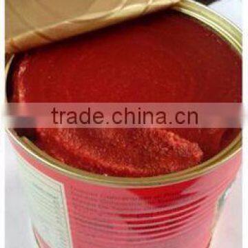 2016Chinese Canned Tomato Paste photo-2