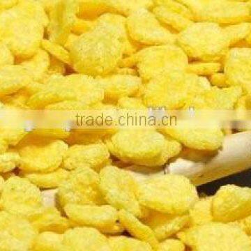 Automatic Wholesome Breakfast Cereal-Corn Flakes Production Line photo-5