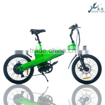 Seagull, electric bike kit with mudguards