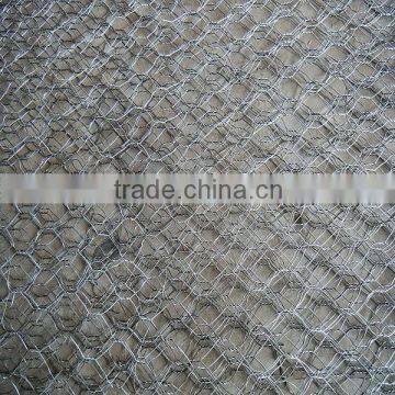 Galvanized Chicken Wire Mesh for Plastering photo-2