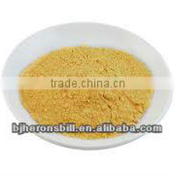 Papaya Powder,fruit powder