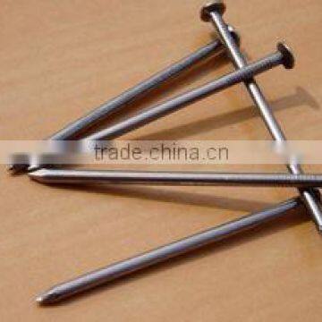 polished common round iron nails