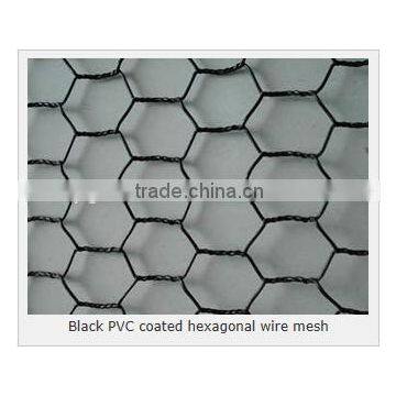 Hexagonal Netting Mesh (factory)