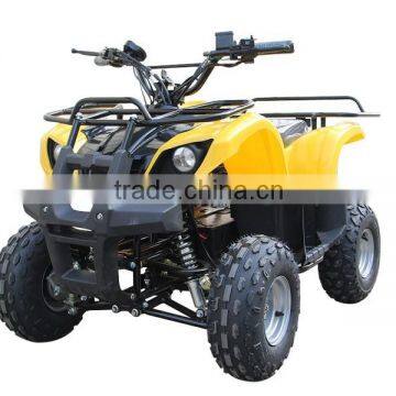 1000W Four Wheel Beach Buggy Amphibious Quad