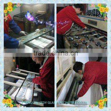 IG Glass for Entry Doors photo-5