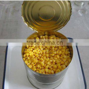 2016 new crop 3000g canned sweet corn