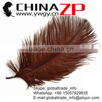 CHINAZP No.1 Supplier in China Factory Exporting Wholesale from 8inch to 10inch Saddle Brown Ostrich Feathers for Sale