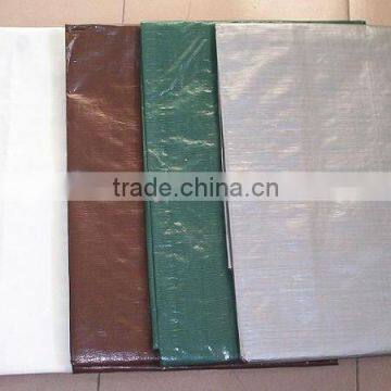 Eco-friendly waterproof pe tarpaulin,tarpaulin awning plastic sheet