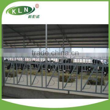 KLN Cow Head - lock for Dairy Farm