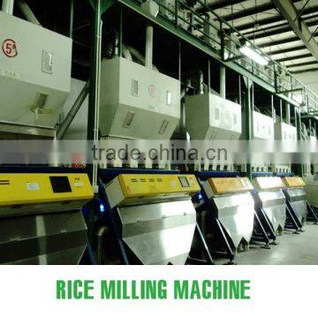 BEST JAPONICA ROUND RICE <5% BOKEN> - CHEAPEST PRICE_HIGH QUALITY - CURRENT RICE photo-5