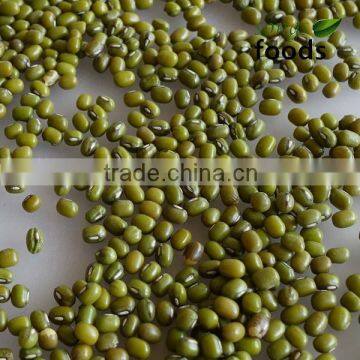 2013 Chinese Bulk Fresh Green Mung Bean For Sale