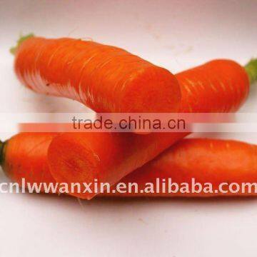 carrot market and price in China