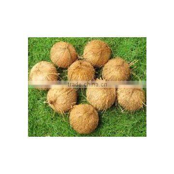 Indian Matured High Quality photo-4