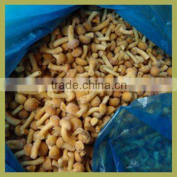 Mushroom 2014 Canned Mushroom Mushroom Farm for Sale photo-2