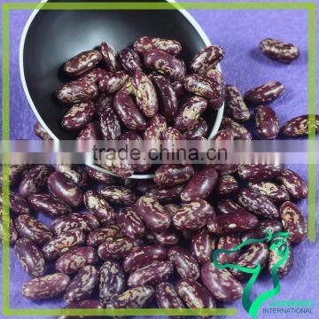 Dried Long Purple Speckled Speckled Kidney Bean Wholesale For Canned Origin In Chian photo-3