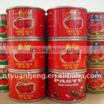 70g-4500g canned tomato paste salsa28-30%brix for africa market