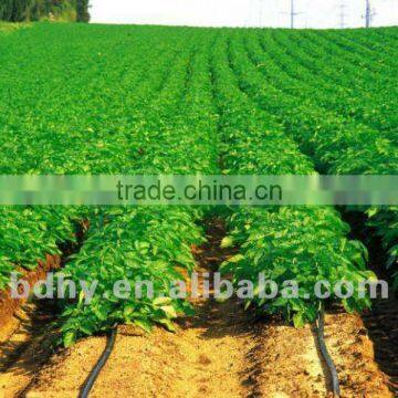 Drip Irrigation Tape With Double Line photo-5