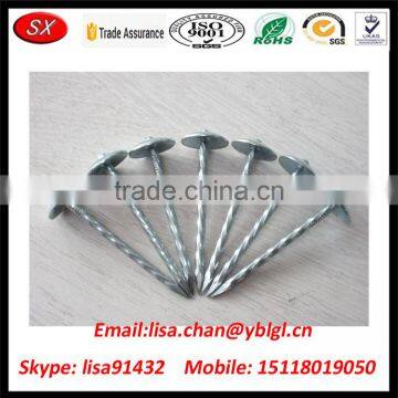 Dongguan Factory OEM High Precision Umbrella Roofing Nail