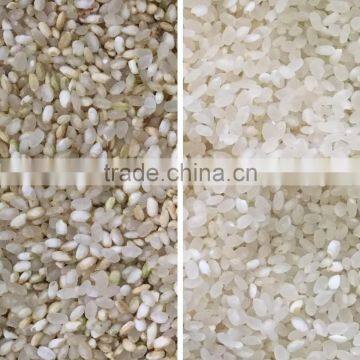 Intelligent CCD Grain Color Sorter Sesame Color Sorter Price photo-5