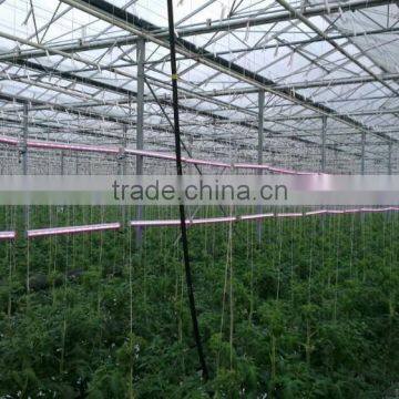75w Grow Lamps for Greenhouse Commercial Palnts