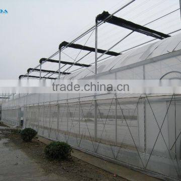 Commercial Used Galvanized Steel Frame Multi Span Greenhouse/Invernadero photo-3
