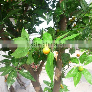 Decoration Artificial Potted Fruit Tree Bonsai Manufacture LGH15-06 photo-5