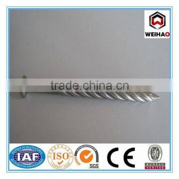 Good Quality Common Nail Iron Nail Factory photo-3
