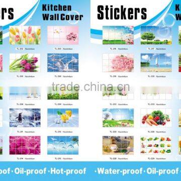 Fashion Decorative Wall Sticker , Kitchen Aluminum Foil Oil Stickers,TV Setting Post photo-6