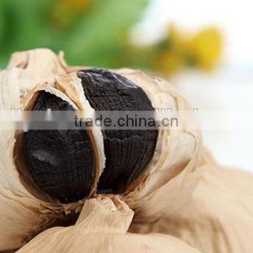 Sweet Black Garlic,no Spicy Garlic photo-5