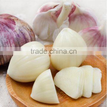 Chinese purple white garlic for wholesale