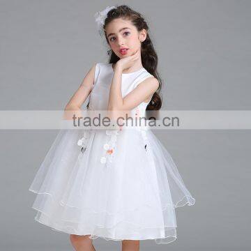 New Arrival Kids Embroidered Sleeveless Dress Child Baby Dress Mode Baby Girl Princess Dresses#L563 photo-3
