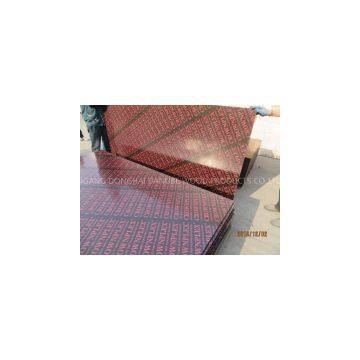 CROWNPLEX BRAND FILM FACED PLYWOOD, POPLAR CORE, WBP MELAMINE GLUE, BROWN PRINTED FILM photo-2