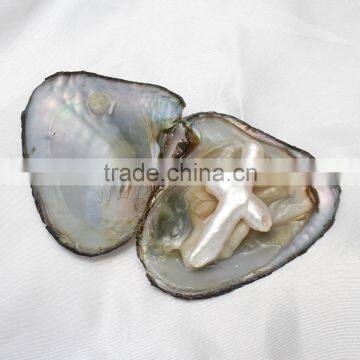 Raw pearls freshwater cultured love wish 26x45x9mm cross pearl in oyster shell