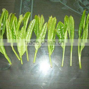 Taipinghoukui Fragrance Tea,New Green Tea Chinese Famous Premium Tea photo-4