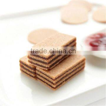 Chinese Snack Food Hawthorn (Hamburger)