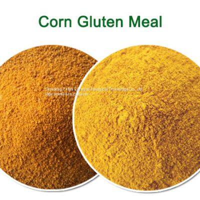 Corn Gluten Meal 62%