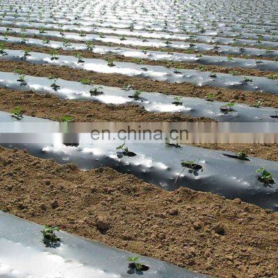 Agriculture PP Fabric Weed Control Mulch Film photo-3