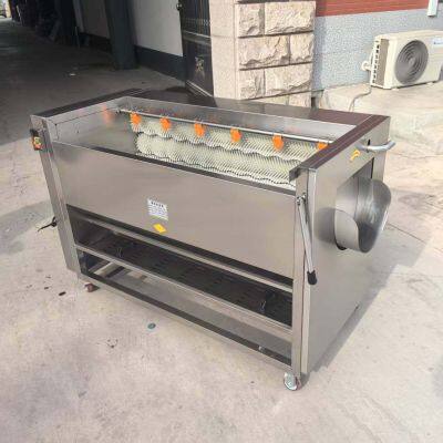 Multifunction Vegetable Parallel Hair Roller Seafood Tomato Orange Fruit Apple Brush Washing Machine