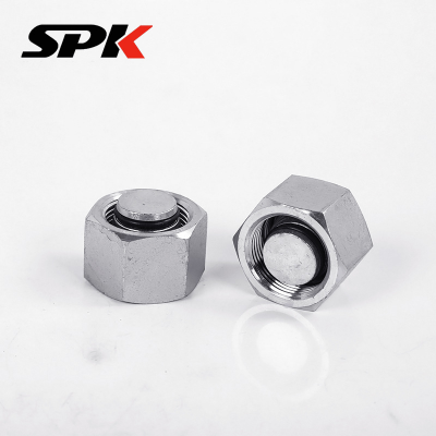 H-Type Female Thread 24-Degree Taper Seal Plug, High-Pressure Hydraulic Tube Ferrule-Type Blind Plug/Oil Plug, Hydraulic Accessories (9D Series)