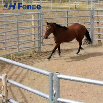 Panel de caballo sólido: Barrera resistente a patadas y mordiscos para la máxima seguridad del establo y la protección equina