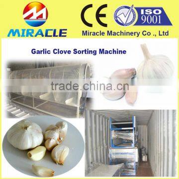 The solution of sorting the dry garlic clove grader and sorter machinery